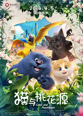 91视频专区